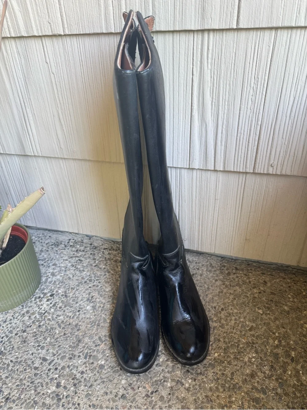 English Equestrian Tall Show Boots, wide calf